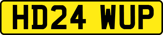 HD24WUP