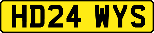 HD24WYS