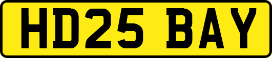 HD25BAY