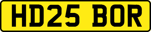 HD25BOR