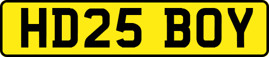 HD25BOY