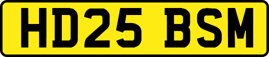 HD25BSM