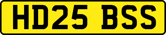 HD25BSS