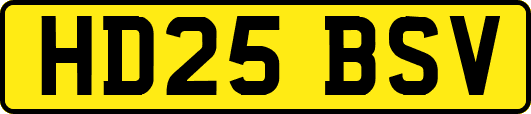 HD25BSV