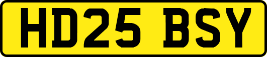 HD25BSY