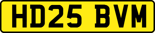 HD25BVM