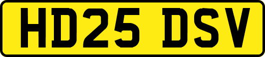 HD25DSV