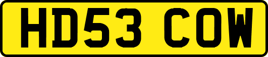 HD53COW
