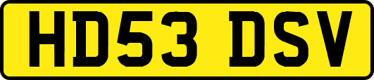 HD53DSV