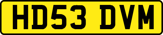 HD53DVM
