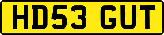 HD53GUT