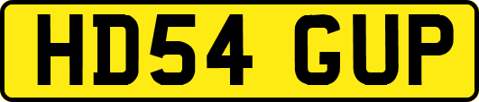 HD54GUP