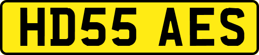 HD55AES