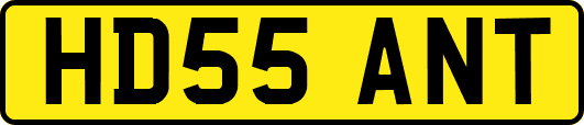 HD55ANT