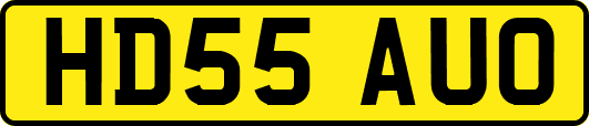 HD55AUO