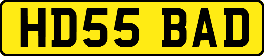 HD55BAD