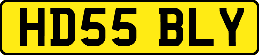 HD55BLY