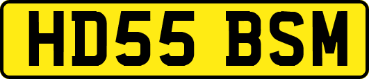 HD55BSM