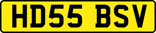 HD55BSV