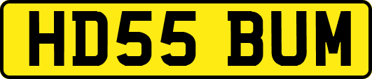 HD55BUM