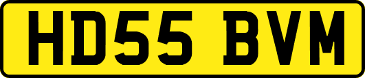 HD55BVM