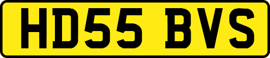 HD55BVS