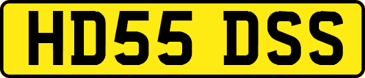 HD55DSS