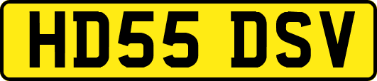 HD55DSV