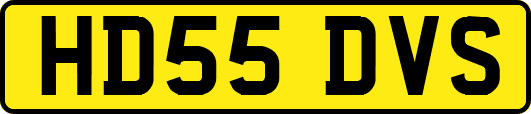 HD55DVS