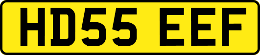 HD55EEF