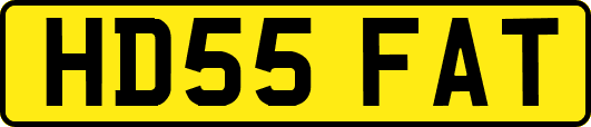 HD55FAT