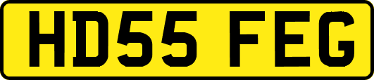 HD55FEG