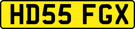 HD55FGX