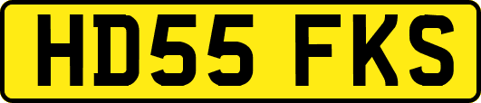 HD55FKS