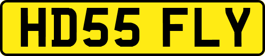 HD55FLY
