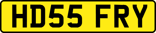 HD55FRY