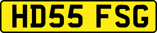 HD55FSG