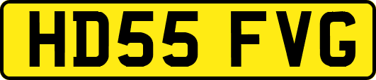 HD55FVG