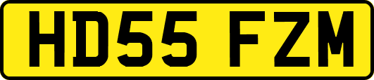 HD55FZM