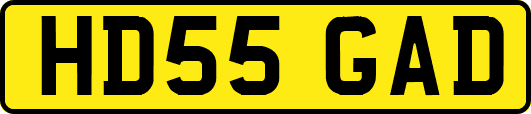 HD55GAD