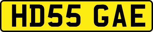 HD55GAE