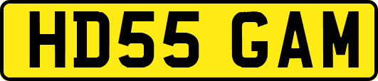 HD55GAM