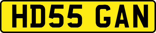 HD55GAN