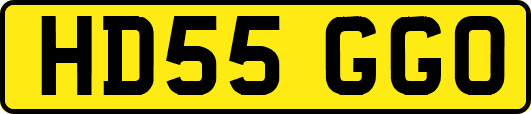 HD55GGO