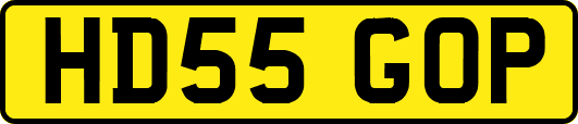 HD55GOP