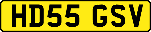 HD55GSV