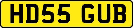 HD55GUB