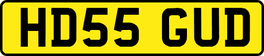 HD55GUD