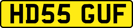 HD55GUF