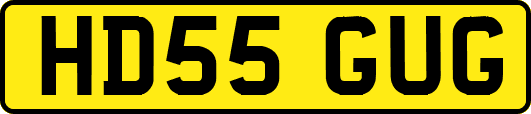 HD55GUG